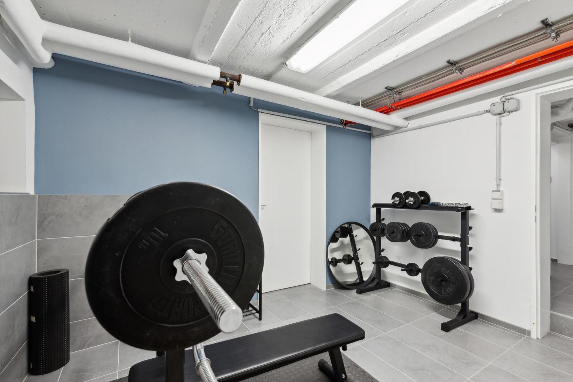 לודוויגסהאפן אם ריין Modern Living - Basf - Ma - Pfalz - 1 Gym 2 Working Spaces מראה חיצוני תמונה